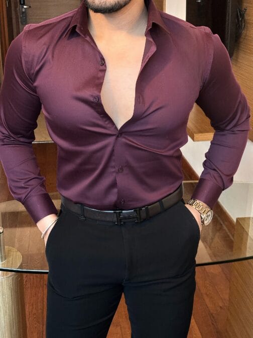 UA Solid Wine Giza Cotton Lycra Shirt